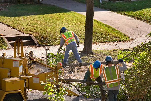 Lawn Drainage Solutions in Mount Pleasant, WI